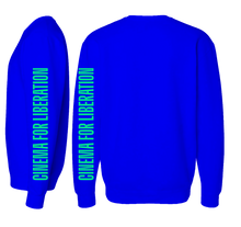 Load image into Gallery viewer, 15th BlackStar Film Festival Long-Sleeve Tee