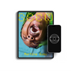 Seen — Issue 004 (Digital)